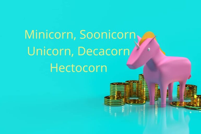All About Minicorn, Soonicorn, Unicorn, Decacorn, Hectocorn Startups