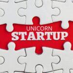 What is a Unicorn Startup