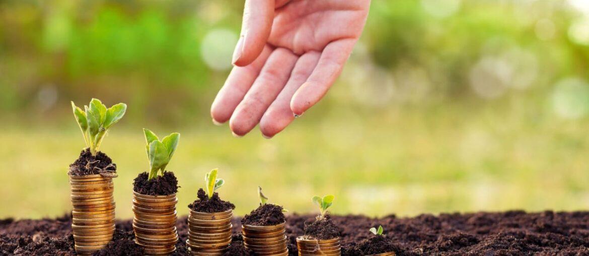 Where Business Startups Can Invest their Money in Nigeria- (2023) Where Business Startups Can Invest their Money in Nigeria