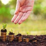 Where Business Startups Can Invest their Money in Nigeria