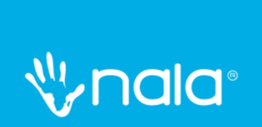 Everything You Need to Know About Nala Currency Exchange Platform Mama Nala